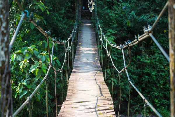 熱帯ジャングルの吊り橋 — ストック写真