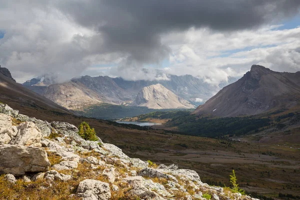 夏のカナダのロッキー山脈の美しい山の景色 — ストック写真