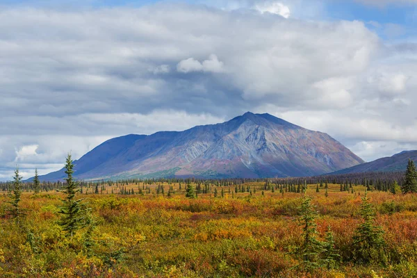 Tundra Landscapes Arctic Circle Autumn Season Beautiful Natural Background Stockbild