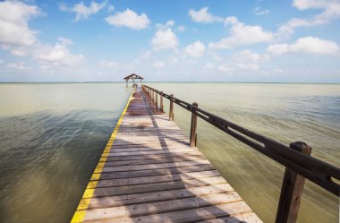 Tropikal sahilde sahil yürüyüşü