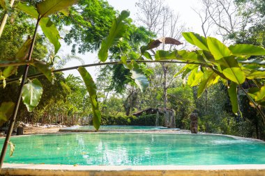 Honduras 'ta Luna Jaguar Kaplıcaları