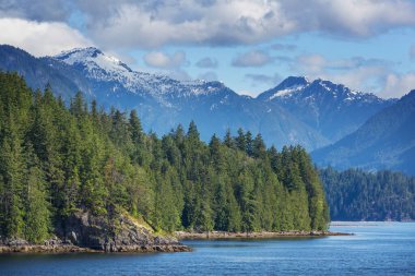 Kanada'da dağ gölü sakin sahne