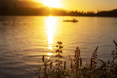 Sunset scene on the lake at sunset summer nature landscapes