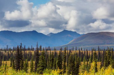 Yazın Alaska 'nın Picturesque Dağları. Kar, kütleleri, buzulları ve kayalık tepeleri kapladı. Güzel doğal arkaplan.
