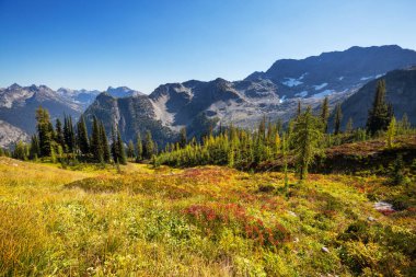 North Cascade Range, Washington, ABD 'deki güzel dağ zirvesi.