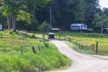 Belize 'deki kirli kırsal yol.