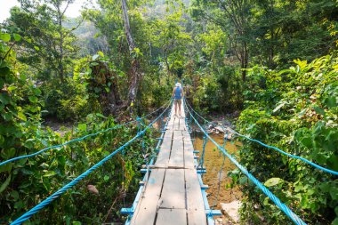 Tropikal ormanda asma köprüdeki turist, Honduras
