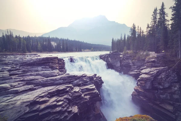 Athabasca Falls Jasper National Park Alberta Canada — Foto Stock