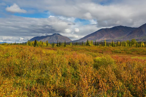 Picturesque Mountains Alaska Autumn Snow Covered Massifs Glaciers Rocky Peaks — Stok fotoğraf