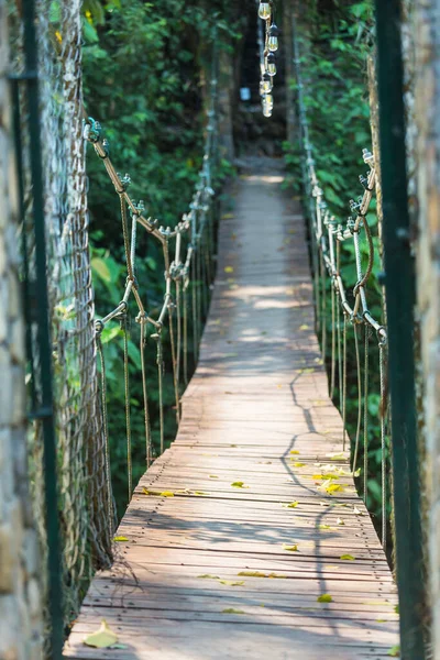 Tropikal Ormanda Asma Köprü — Stok fotoğraf