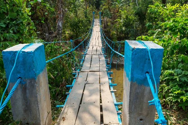 Suspension Bridge Tropical Jungle — Stock Photo, Image