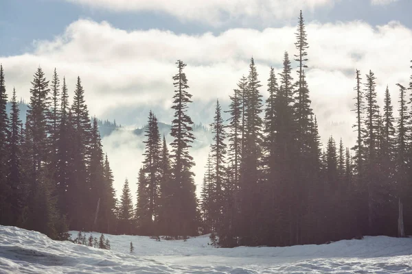 高い山の中で霧 美しい自然景観 — ストック写真