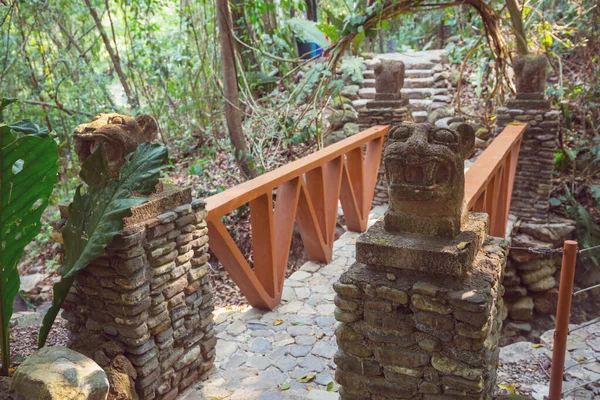 Belas Decorações Jardim Tropical Honduras — Fotografia de Stock