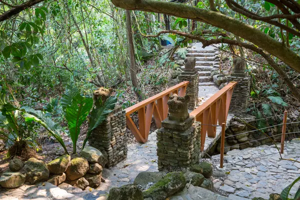 Krásné Dekorace Tropické Zahradě Honduras — Stock fotografie