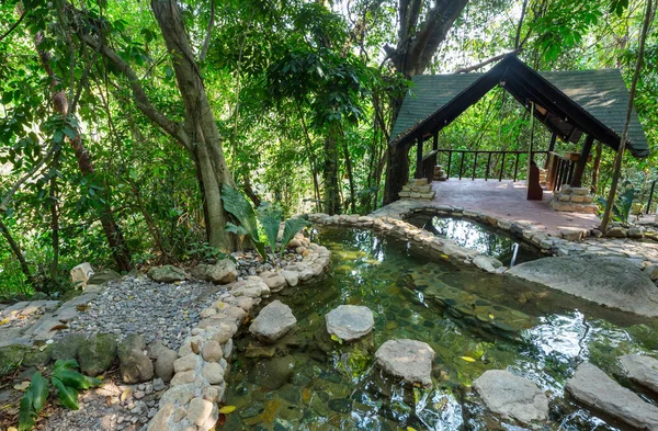 Luna Jaguar Hot Springs Hondurasie — Zdjęcie stockowe