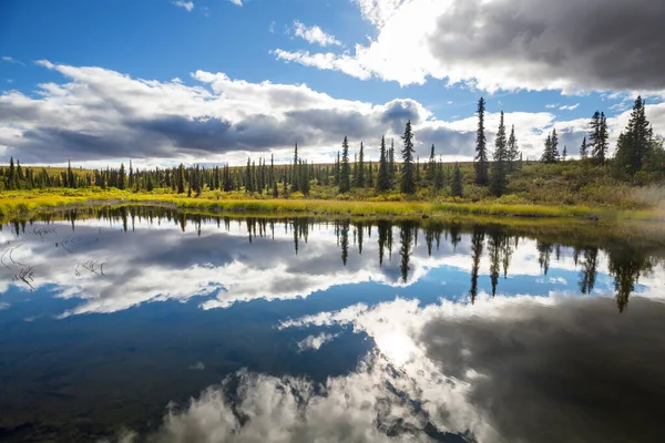 アラスカ ツンドラのセレニティ湖 — ストック写真