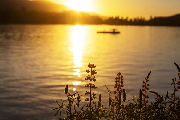 Ηλιοβασίλεμα Στη Λίμνη Στο Ηλιοβασίλεμα Καλοκαίρι Φύση Τοπία — Φωτογραφία Αρχείου