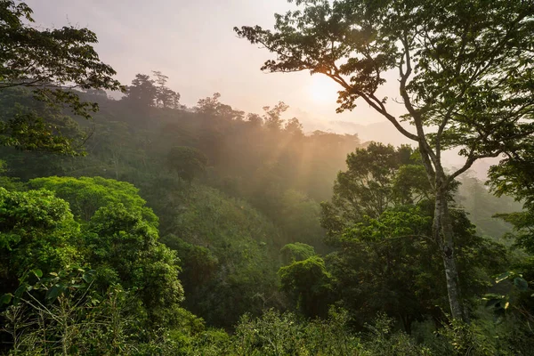 Prachtige Tropische Landschappen Honduras Groene Bergen Jungle — Stockfoto