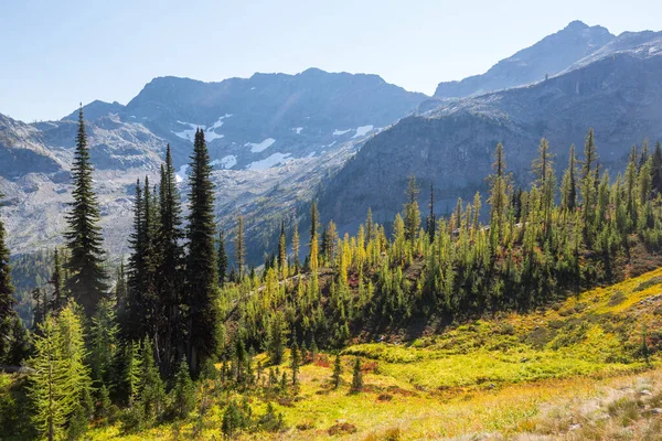 Schöner Berggipfel Der North Cascade Range Washington Usa — Stockfoto