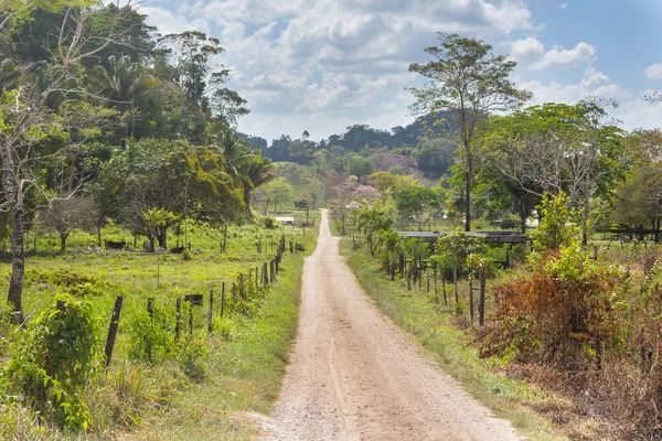 Strada Sterrata Rurale Belize — Foto Stock