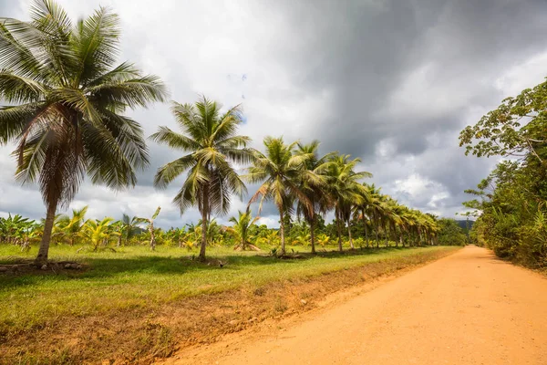 Smutsig Landsväg Belize — Stockfoto