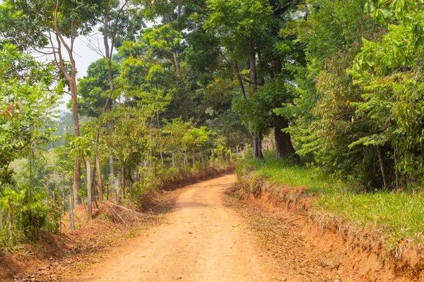 Сельская Дорога Гондураса — стоковое фото