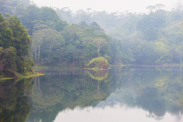 Спокійне Тропічне Озеро Гондурасі — стокове фото