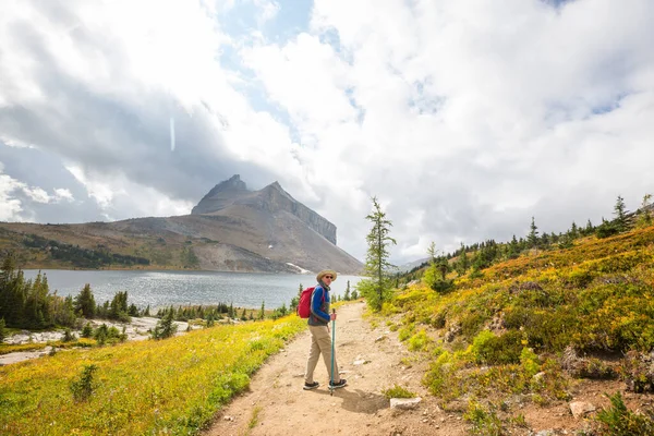 Caminante Montañas Canadienses Caminata Actividad Recreativa Popular América Del Norte —  Fotos de Stock