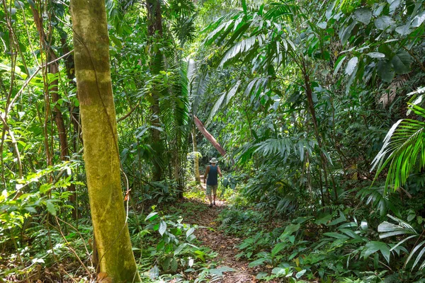 ベリーズのジャングルでハイキング — ストック写真