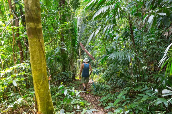 Belize Ormanda Yürüyüş — Stok fotoğraf