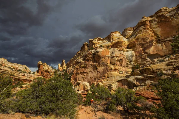 Wandelen Utah Bergen Wandelen Ongewone Natuurlijke Landschappen Fantastische Vormen Zandsteen — Stockfoto