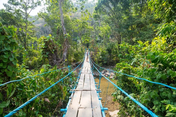 Tropikal Ormanda Asma Köprüdeki Turist Honduras — Stok fotoğraf