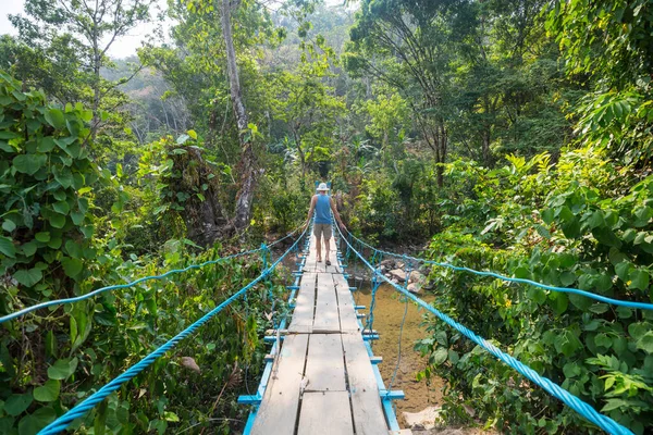 Tourist Auf Der Hängebrücke Tropischen Dschungel Von Honduras — Stockfoto