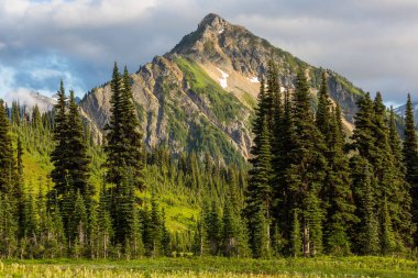 North Cascade Range, Washington, ABD 'deki güzel dağ zirvesi.