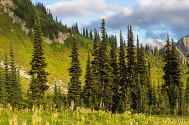 North Cascade Range, Washington, ABD 'deki güzel dağ zirvesi.