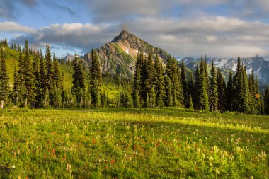 North Cascade Range, Washington, ABD 'deki güzel dağ zirvesi.