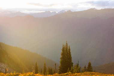 North Cascade Range, Washington, ABD 'deki güzel dağ zirvesi.