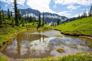 North Cascade Range, Washington, ABD 'deki güzel dağ zirvesi.