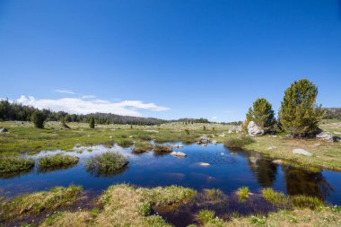 Hike in Wind River Range in Wyoming, USA. Summer season.