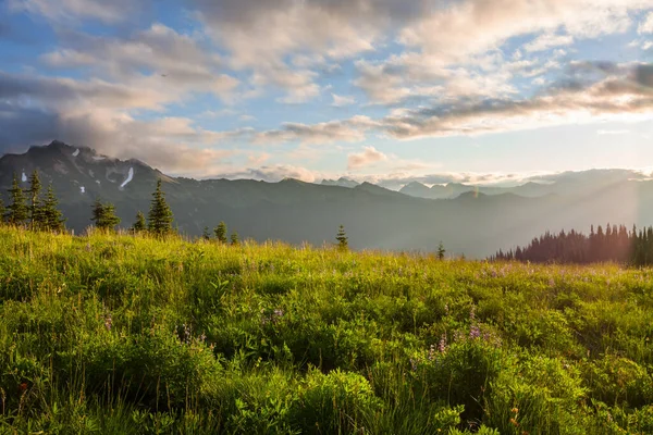 美国华盛顿北喀斯喀特山脉美丽的山峰 — 图库照片