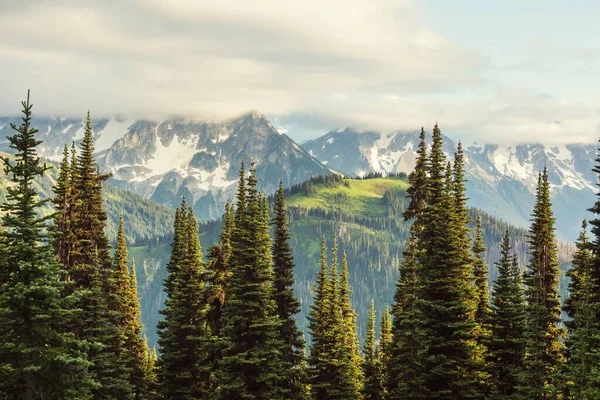 美国华盛顿北喀斯喀特山脉美丽的山峰 — 图库照片