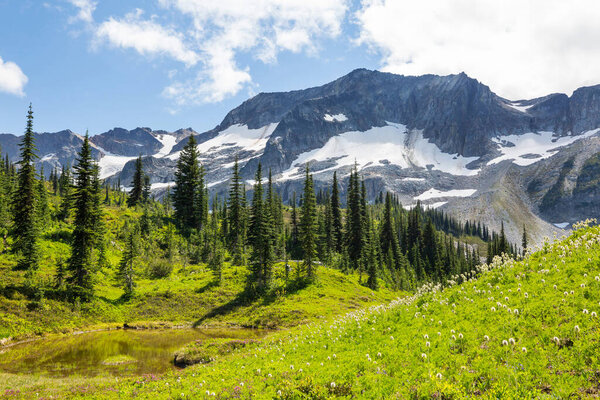 Beautiful mountain peak in  North Cascade Range, Washington,  USA