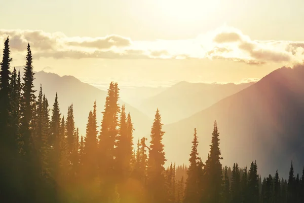 山の中で風景夕日 美しい自然背景 — ストック写真