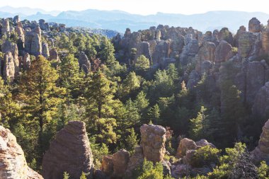 Arizona, ABD 'deki Chiricahua Ulusal Anıtı' nın alışılmadık manzarası