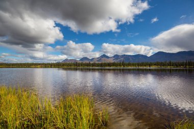 Kanada'da dağ gölü sakin sahne