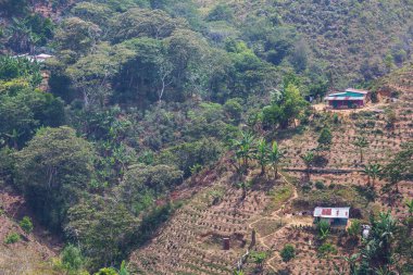 Honduras dağlarındaki çiftliklerin arasında küçük bir köy.