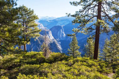 Güzel Yosemite Ulusal Parkı manzaraları, California