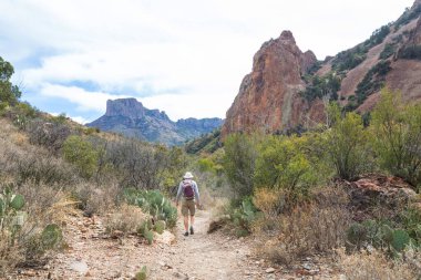 Big Bend Ulusal Parkı 'nda yürüyüş, Teksas, ABD