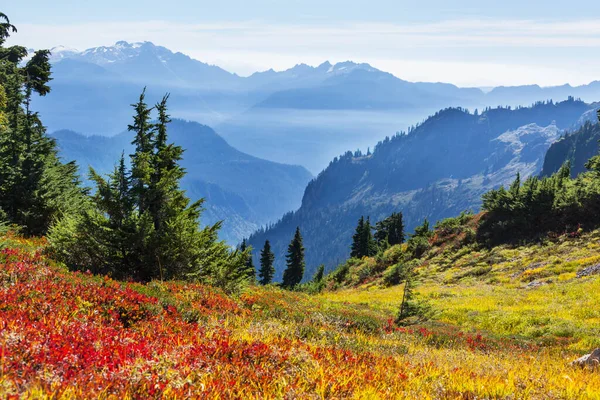 Цветная Осень Горах — стоковое фото