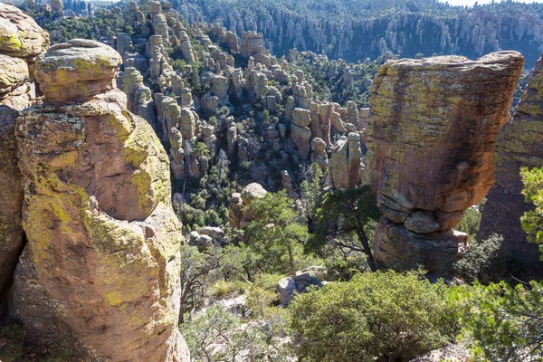 Ongewoon Landschap Bij Het Chiricahua National Monument Arizona Usa — Stockfoto